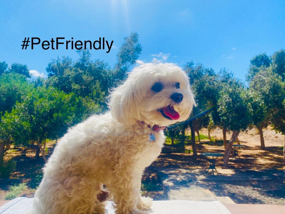 Bungalow Sequero #Pet Friendly Tuineje Exteriör bild